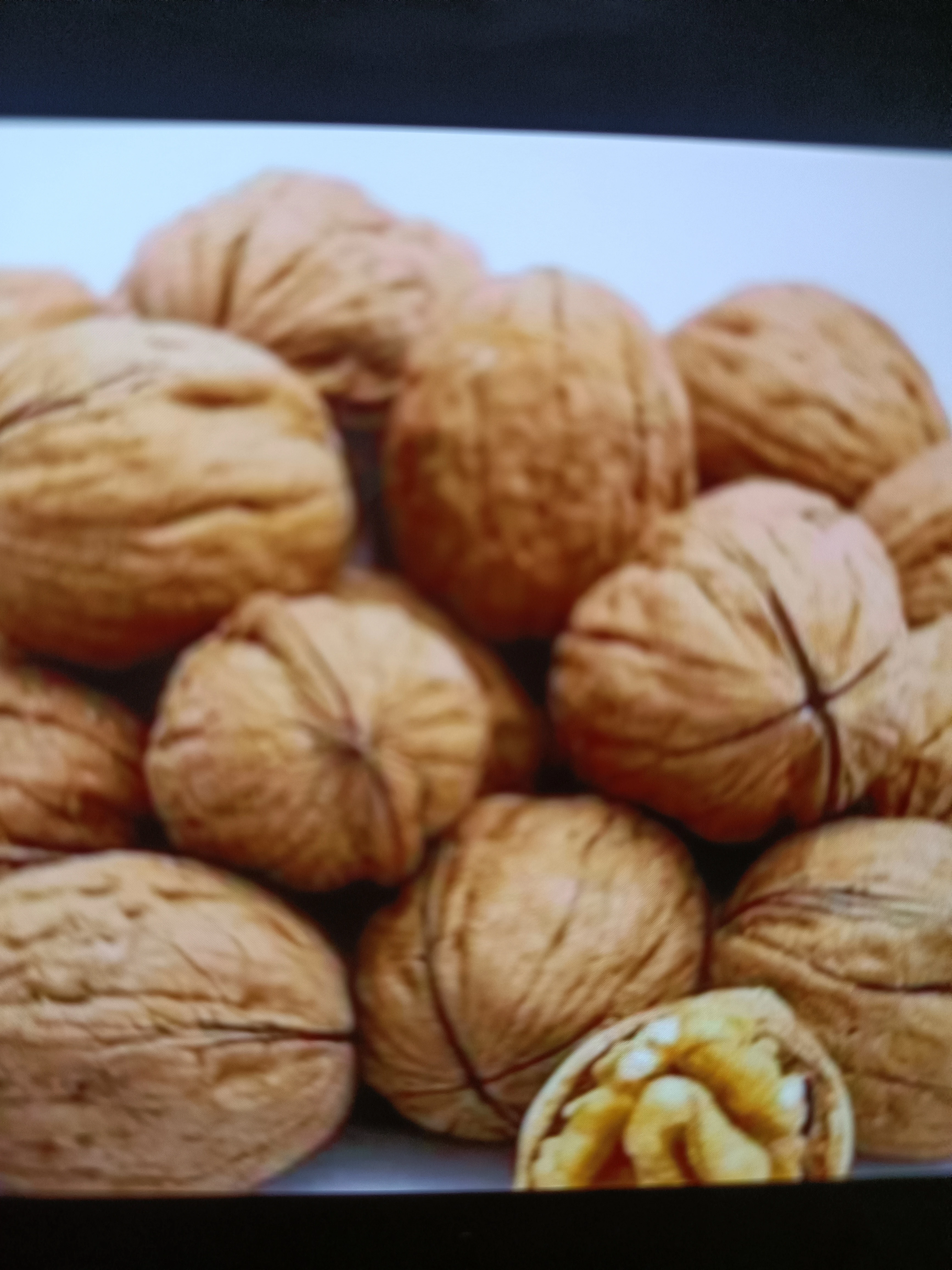 Walnut